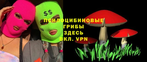 ПСИЛОЦИБИНОВЫЕ ГРИБЫ Лиски