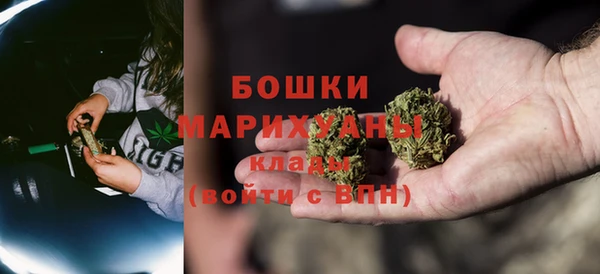 прущие крисы Магас