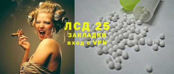 индика Кулебаки