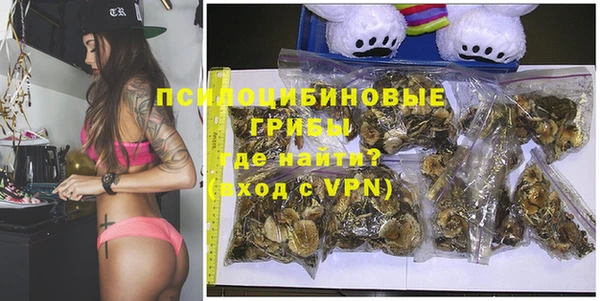 гидра Майский
