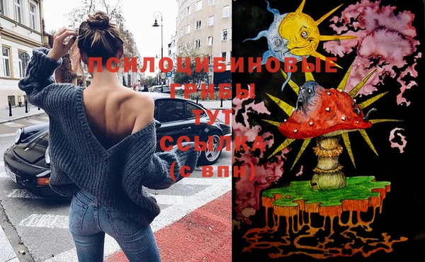 ПСИЛОЦИБИНОВЫЕ ГРИБЫ Лиски