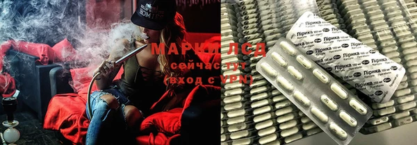 прущие крисы Магас